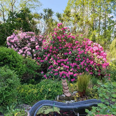 Ferienwohnung Gartenblick เวสเตอร์ชเตเดอ ภายนอก รูปภาพ
