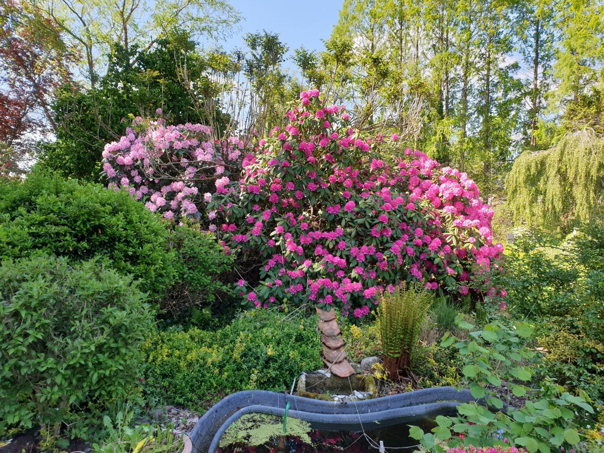 Ferienwohnung Gartenblick เวสเตอร์ชเตเดอ ภายนอก รูปภาพ